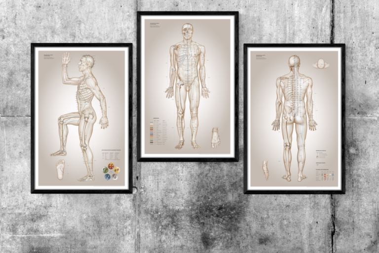 Akupunkturplansch, The Essential Charts of Acupuncture