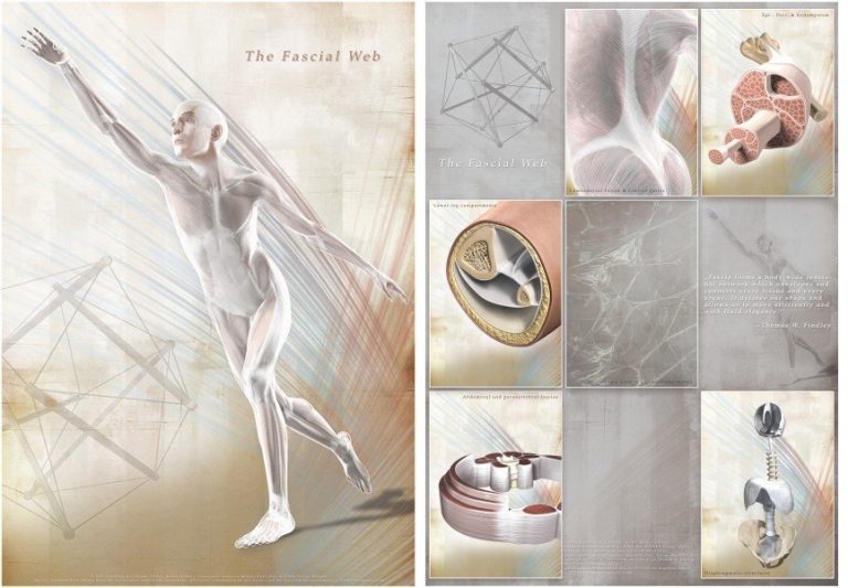 Fascia, Plansch, 60x85 cm, Engelsk, Laminerad