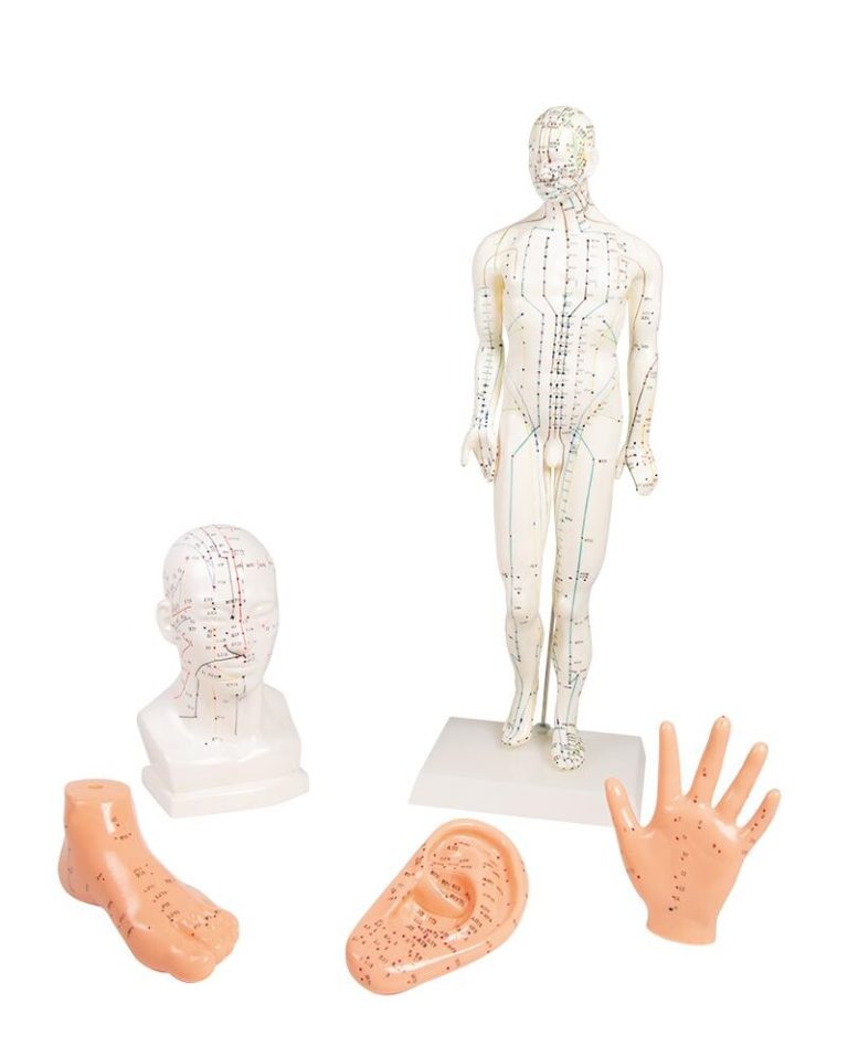 Kinesisk akupunkturset, 5 modeller